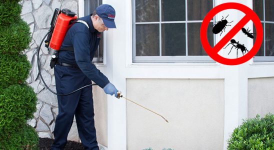 Helvacı Hamam Böceği İlaçlama böcek ilaçlama ve haşere kontrolü — ilaclama-tr.com